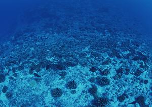 【公式】東横INN上野田原町駅|アクセス抜群のビジネスホテルと充実のサービス概要