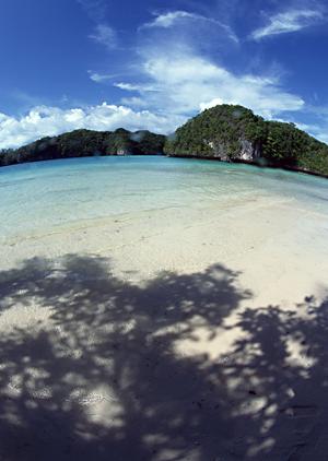 新潟駅から徒歩1分の快適宿泊!東横INN新潟駅前の魅力と特徴