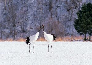 【公式情報を基に】長崎のビジネスホテル・東横INN長崎駅前の魅力と詳細ガイド