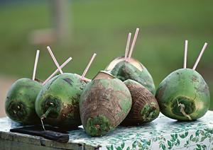 東横INN東広島西条駅前|快適な滞在と便利なアクセスを誇るビジネスホテル