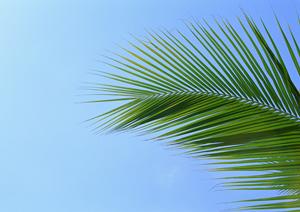 【公式】泉天空の湯 有明ガーデン|スパシティ|東京有明の温泉体験と施設紹介