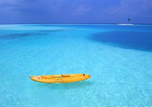 家族で楽しむ!金沢の金箔体験で思い出に残る伝統工芸の魅力