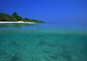 姶良市のクレーンゲーム徹底攻略｜勝つための最新攻略法とおすすめ店舗紹介【2026年最新版】